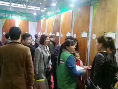 兔宝宝环保行武汉站再破记录——4618单、3860万销售额引领装饰材料与地板市场风潮